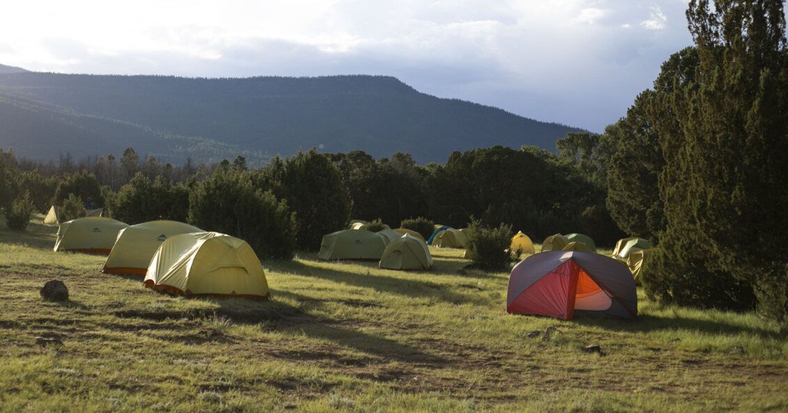 Tents pitched in a mountain meadow below a forested ridge